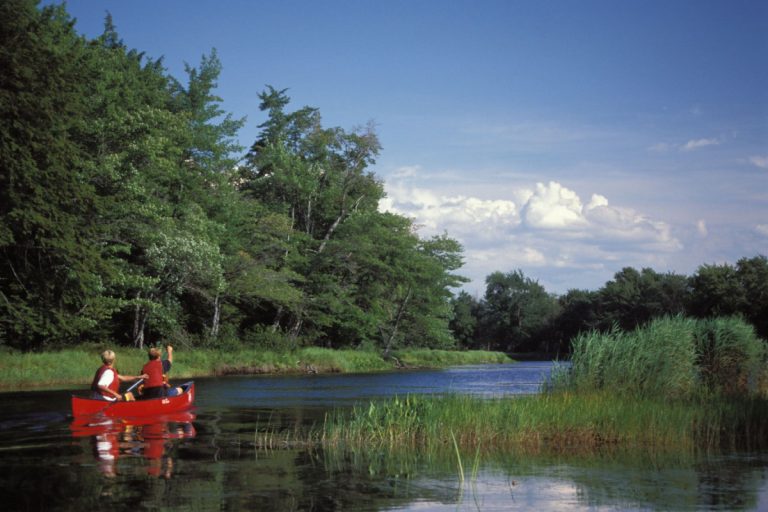 Reservation Advice for Ontario Parks