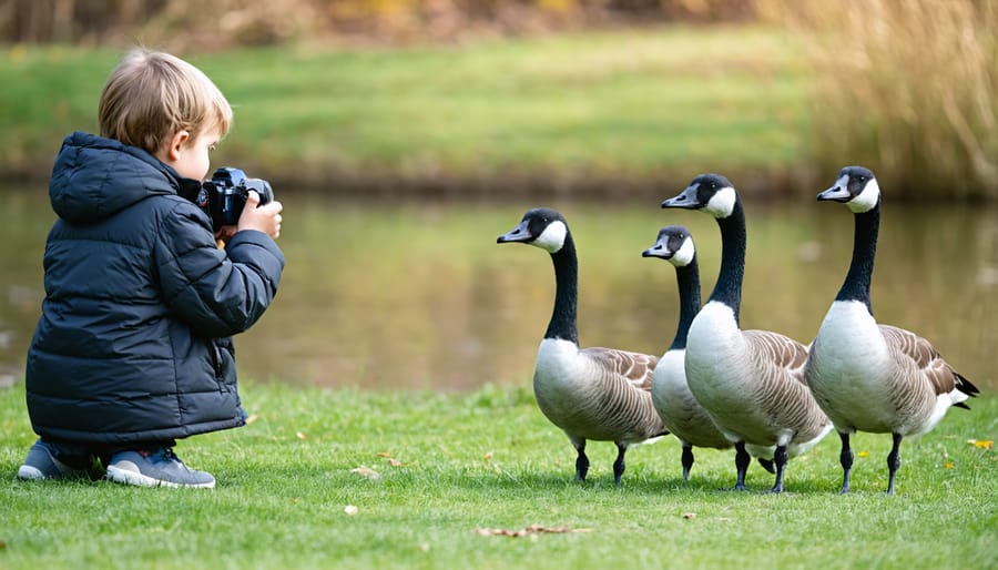 Young photographer taking pictures of Canada geese with parent's help