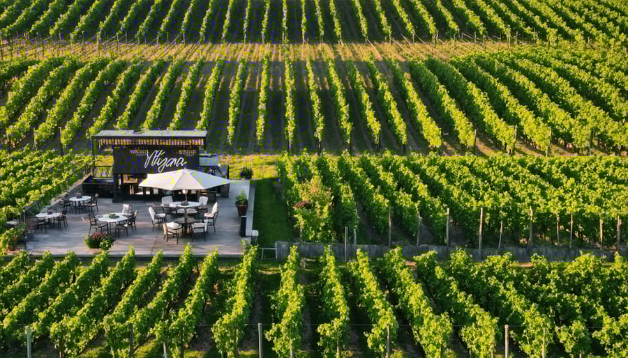 Scenic vineyard landscape in Niagara wine country with outdoor dining area