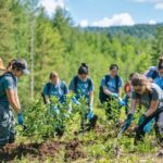 Make a Real Impact: Ontario Parks Needs Your Help (And Here’s How)