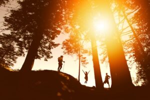 Surprising Ways Hiking Heals Your Body Beyond the Obvious