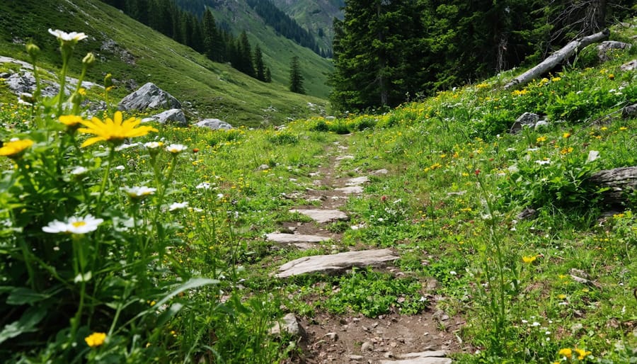 Hiker's boots positioned on trail next to alpine wildflowers demonstrating careful trail etiquette