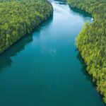 Where Land Meets Water: Ontario’s Fascinating World of Terrestrial and Aquatic Life