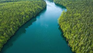 Where Land Meets Water: Ontario’s Fascinating World of Terrestrial and Aquatic Life