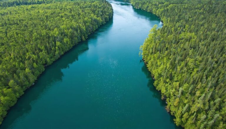 Where Land Meets Water: Ontario’s Fascinating World of Terrestrial and Aquatic Life