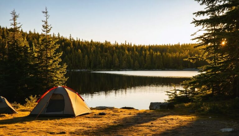 Reconnect with Nature: How Digital Detox Camping Changes Lives in Ontario Parks