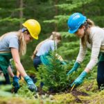 Make a Real Impact: How Your Weekend Can Help Save Ontario’s Forests