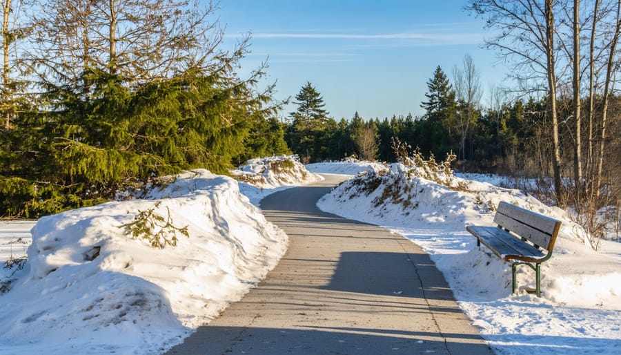 Snow-cleared accessible trail with bench and viewing platform in winter landscape