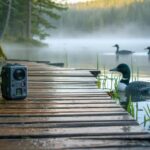 How AI Is Protecting Ontario’s Parks Before We Even Break Ground