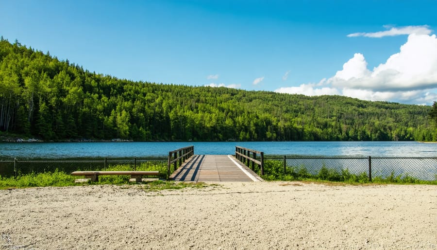 Provincial park parking lot with vehicles and forest background