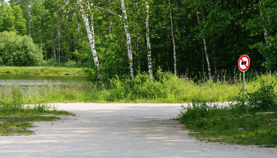 Ontario Parks permit displayed on vehicle windshield with forest in background