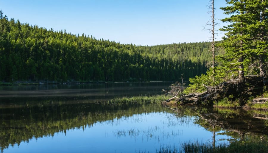 Videographer filming at sunrise beside misty lake in Ontario provincial park