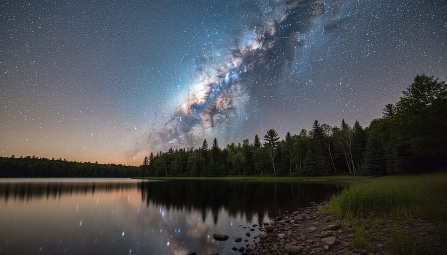 Milky Way galaxy visible above silhouetted pine trees in dark Ontario park sky