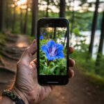 Your Smartphone Just Became the World’s Best Plant Field Guide