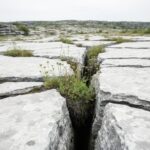 4 Limestone Size: What It Means for Alvars and Limestone Pavements in Ontario