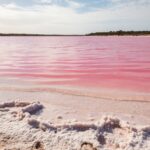WA Pink Lake Wonders: Where to Find Western Australia’s Most Stunning Natural Phenomenon